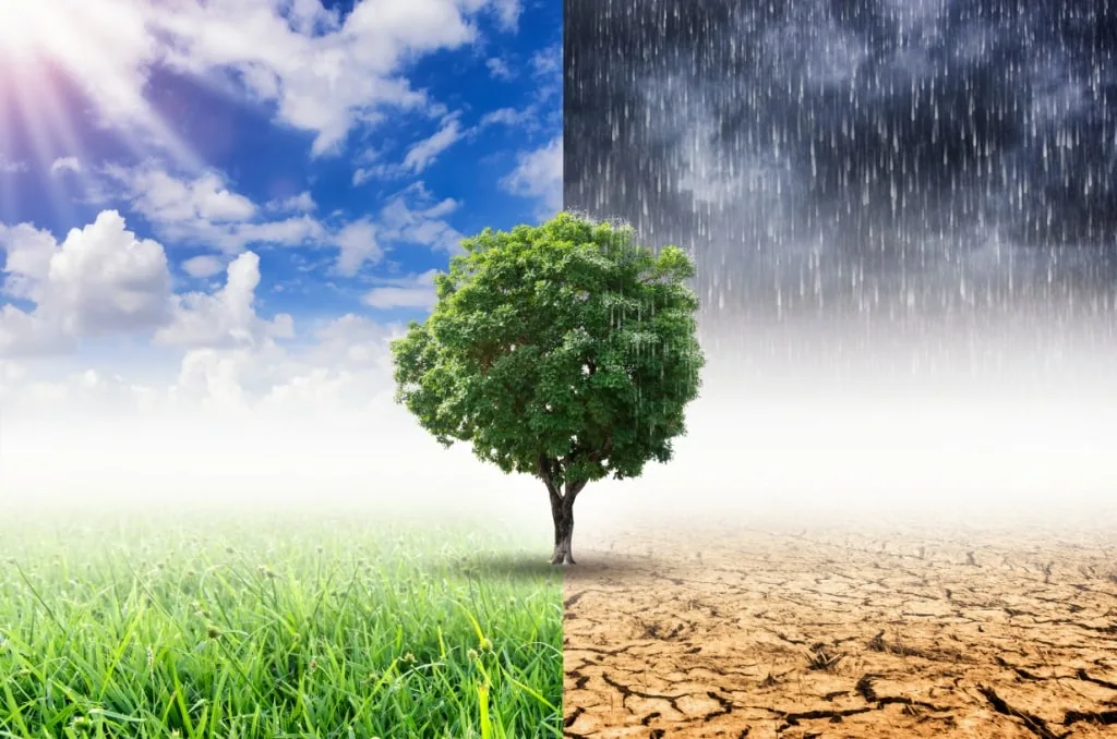 Como Entender o Clima e o Tempo: Guia Completo 2026