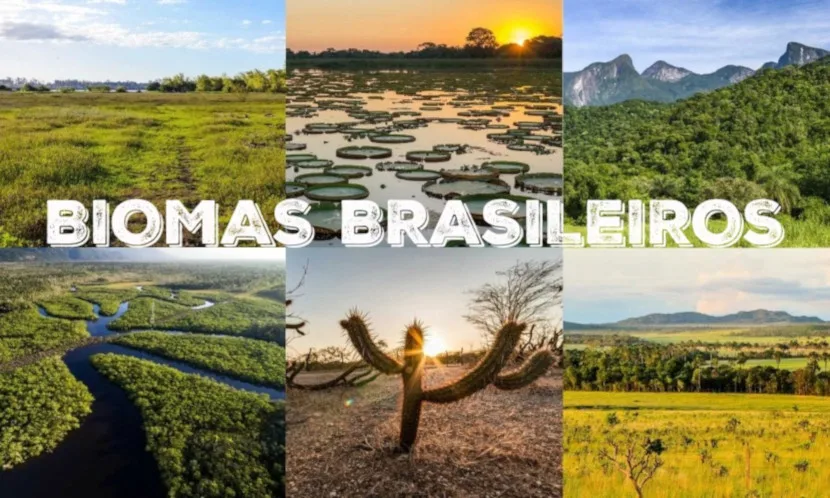 O Que São Biomas? Entenda a Importância para o Brasil